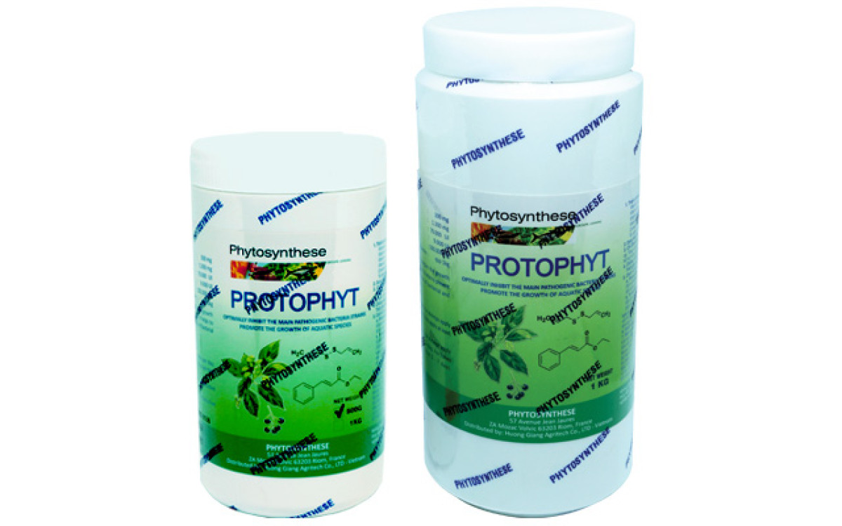 PROTOPHYT
